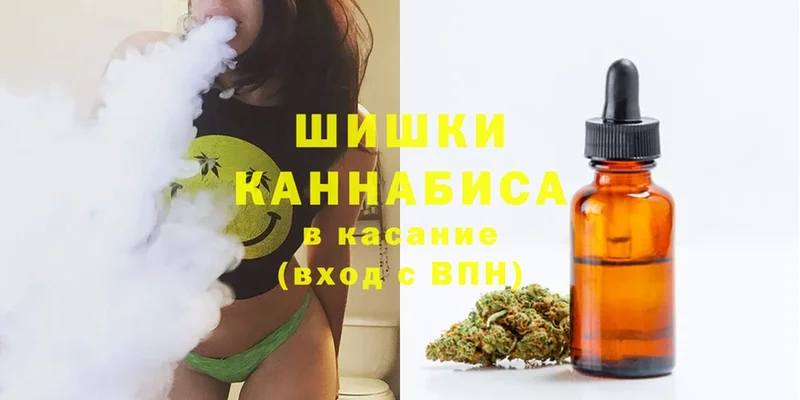 mega как зайти  Беломорск  Бошки марихуана VHQ 